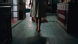 A Tale of Two Sisters's poster