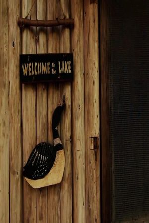 Loon Lake's poster