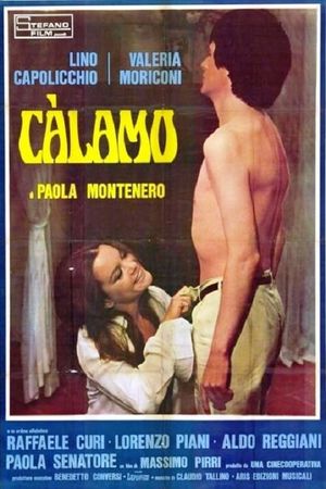 Càlamo's poster