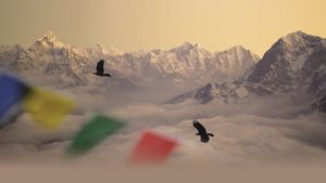 Sherpa's poster