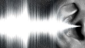 In Pursuit of Silence's poster