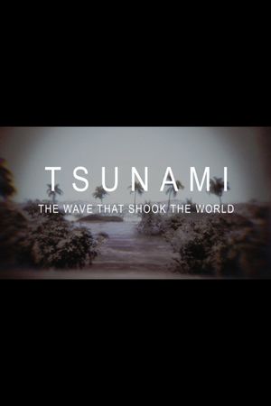 Tsunami 2004: Wave That Shook the World's poster