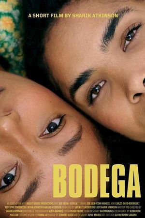 Bodega's poster