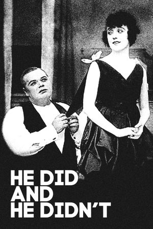 He Did and He Didn’t's poster