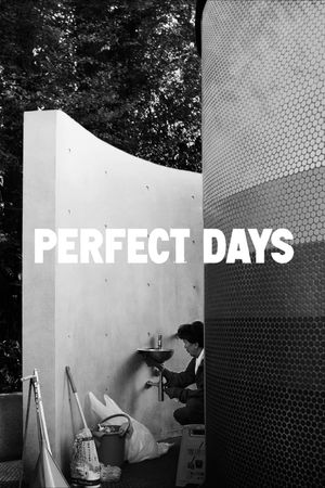 Perfect Days's poster