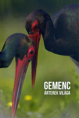 Gemenc - Árterek világa's poster