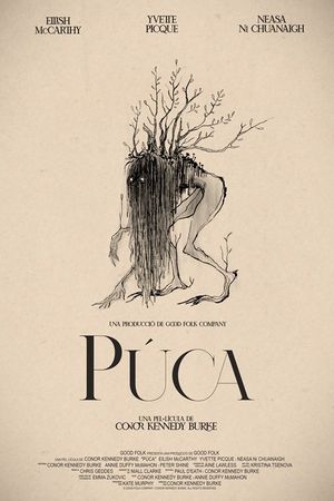 Púca's poster