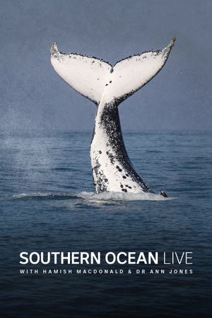 Southern Ocean Live's poster