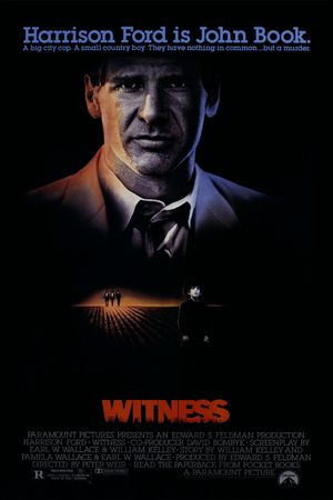 Witness's poster
