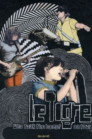 Who Took the Bomp? Le Tigre on Tour's poster