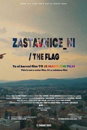 The Flag's poster