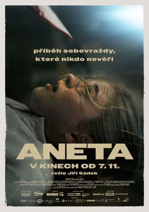 Aneta's poster