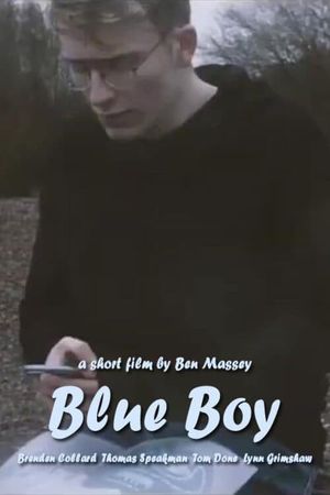 Blue Boy's poster image