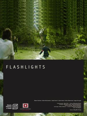 Flashlights's poster