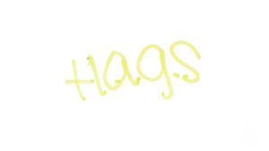 H.A.G.S. (Have a Good Summer)'s poster