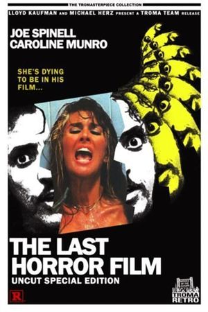 The Last Horror Film's poster