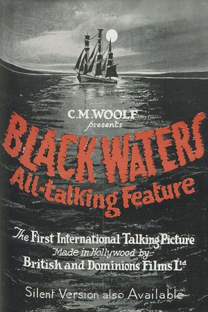 Black Waters's poster
