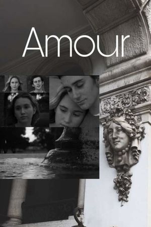 Amour's poster