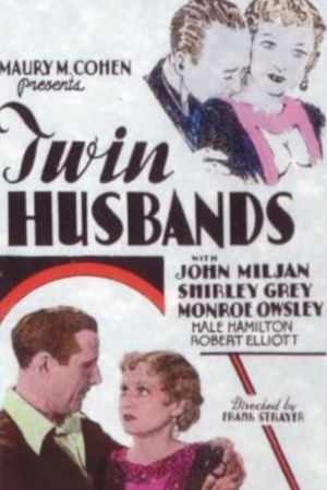 Twin Husbands's poster