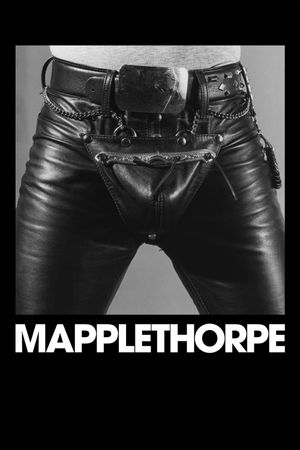 Mapplethorpe's poster image