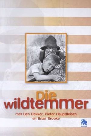 Die Wildtemmer's poster