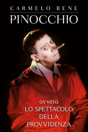 Pinocchio, ovvero lo spettacolo della Provvidenza's poster