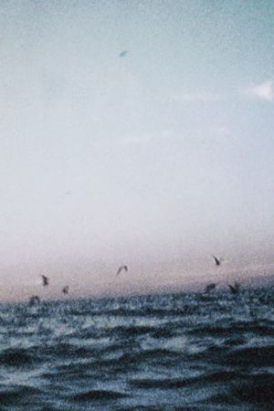 Ocean III's poster