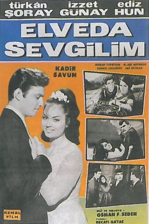 Good Bye, My Lover's poster
