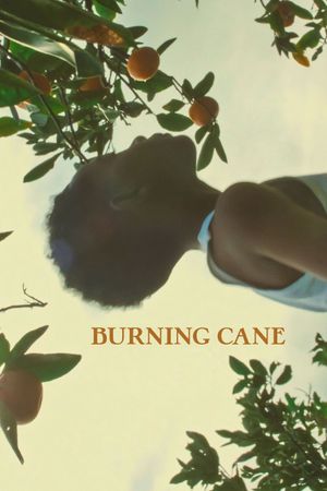 Burning Cane's poster