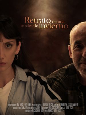 Portrait of a Winter night's poster