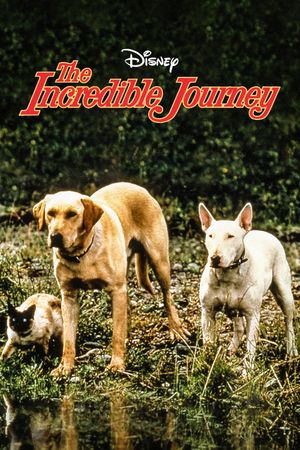 The Incredible Journey's poster