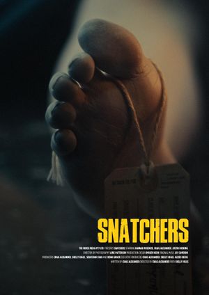 Snatchers's poster