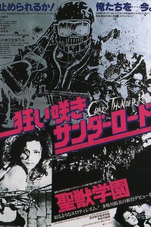 Crazy Thunder Road's poster