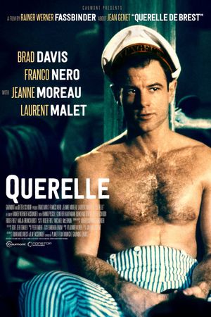 Querelle's poster