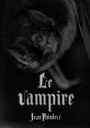 The Vampire's poster
