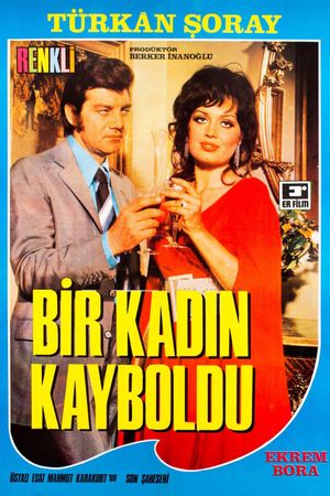 Bir Kadin Kayboldu's poster