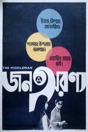 The Middleman's poster