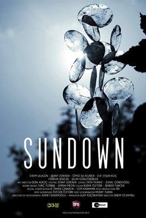 Sundown's poster