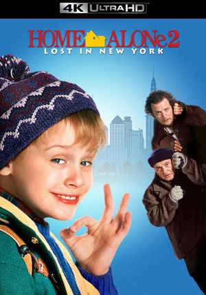 Home Alone 2: Lost in New York's poster