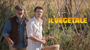 Il vegetale's poster