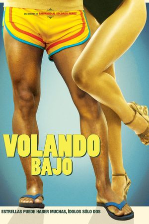 Volando Bajo's poster
