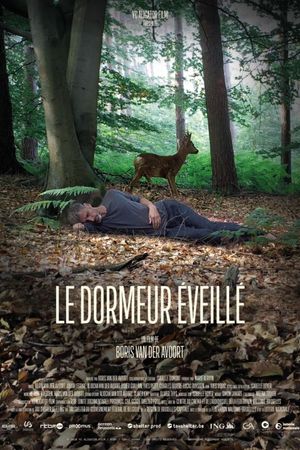 The Wakeful Sleeper's poster