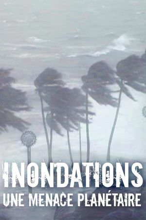 Inondations : une menace planétaire's poster