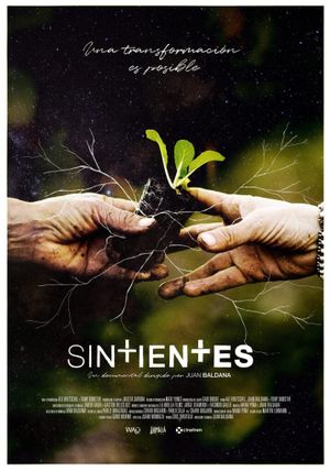 Sintientes's poster