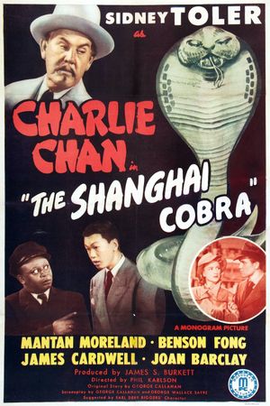 The Shanghai Cobra's poster