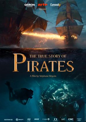 The True Story of Pirates's poster