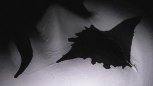 The Hidden Mask's poster