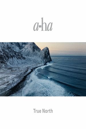 a-ha: True North's poster