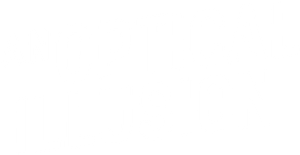 An Optical Illusion's poster