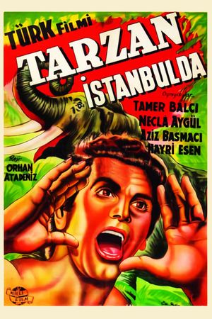 Tarzan in Istanbul's poster